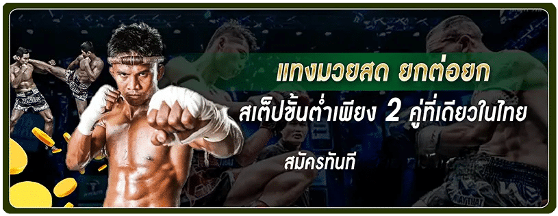Tiger เครดิตฟรี สำหรับสายมวย แทงมวยสดได้ทันที ทำกำไรง่าย ปก