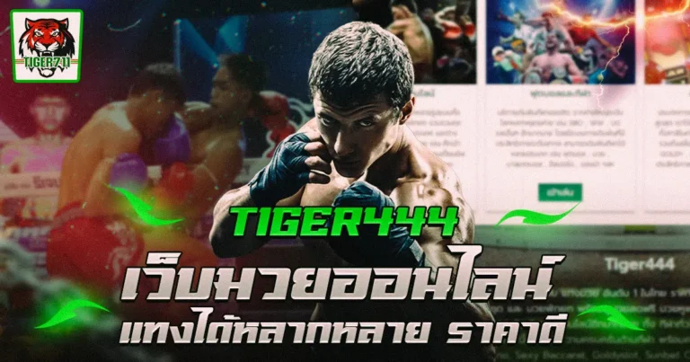 Tiger444 เว็บตรง ไม่ผ่านเอเย่นต์ ค่าน้ำดี บิลเคลียร์ไว ปก