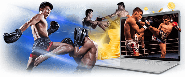 กีฬาแทงมวยออนไลน์